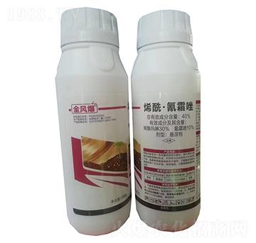40%ϩ������˪��Ҹ���500g-���L(f��ng)��-�G������