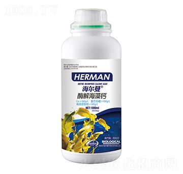 1000mlø�⺣���}