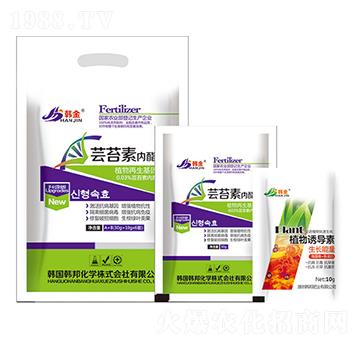 �|̦�؃�(n��i)֬-�n��-�n��