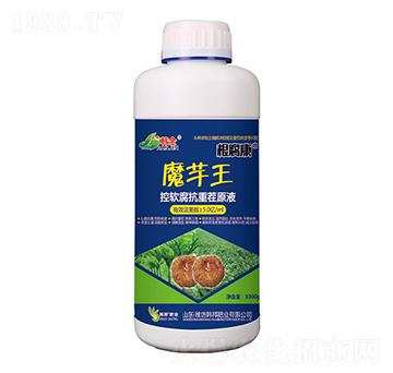 ƿ�bħ������ܛ�����ز�