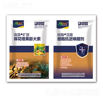 �������������-��(x��)����