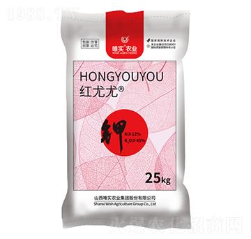 �w��⛷�-�t����-Ψ��(sh��)