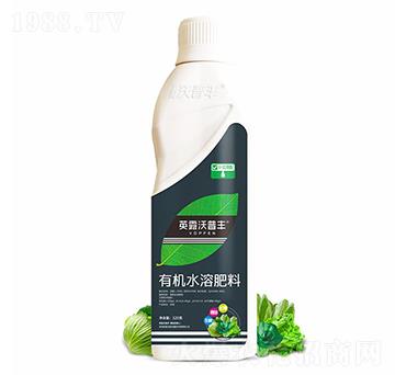 葉菜需配有機水溶肥料-英露沃普豐