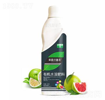 柚子需配有機水溶肥料-英露沃普豐