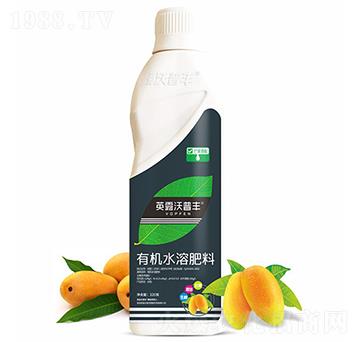 芒果需配有機(jī)水溶肥料-英露沃普豐