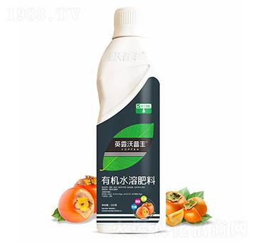 柿子需配有機水溶肥料-英露沃普豐