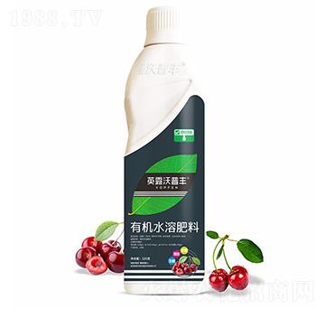 櫻桃需配有機(jī)水溶肥料-英露沃普豐