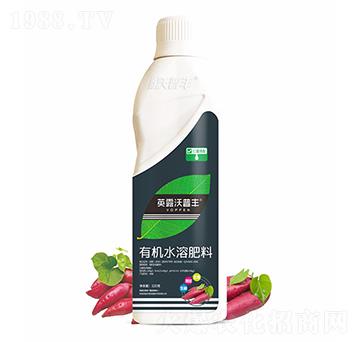紅薯需配有機(jī)水溶肥料-英露沃普豐