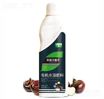 馬蹄需配有機(jī)水溶肥料-英露沃普豐