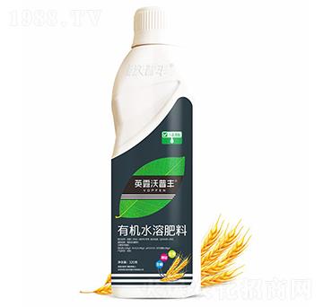 小麥需配有機(jī)水溶肥料-英露沃普豐