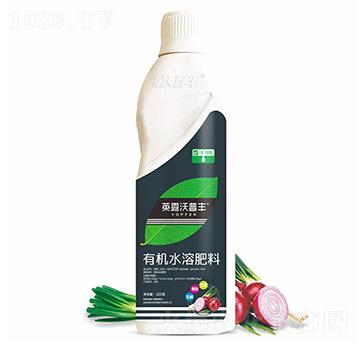 大蔥洋蔥需配有機水溶肥料-英露沃普豐