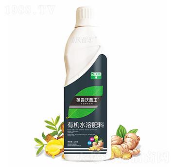大姜需配有機(jī)水溶肥料-英露沃普豐