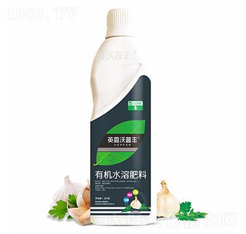 大蒜需配有機水溶肥料-英露沃普豐