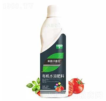 番茄需配有機(jī)水溶肥料-英露沃普豐