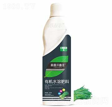 韭菜需配有機水溶肥料-英露沃普豐