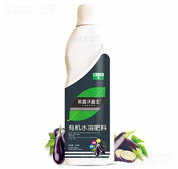 茄子需配有機(jī)水溶肥料-英露沃普豐