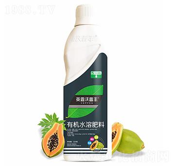 木瓜需配有機水溶肥料-英露沃普豐