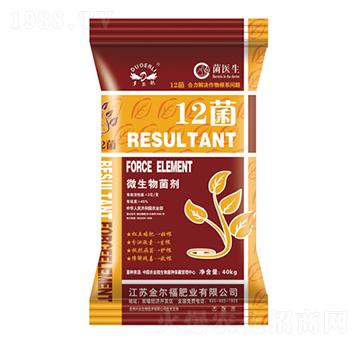 ΢�������-12��-�𠖸��ʘI(y��)