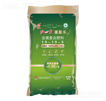 ������(f��)�Ϸ���19-19-5-�ξ���(l��)-�t�ķ�
