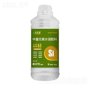 1000g����Ԫ��ˮ�ܷ���-��С���ӣ��Ǵ���-����Z