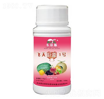 �w�����1̖-�Rķ������