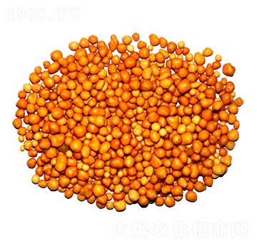 ����n�w����ጷ�15-7-13-ïʩ����