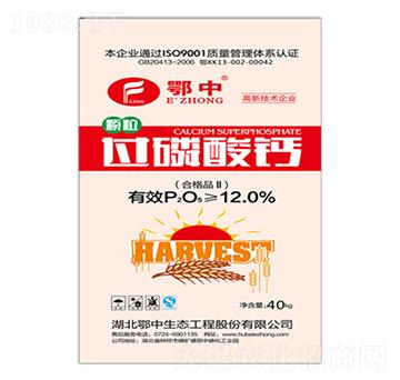 12%�^�����}-���зʘI(y��)