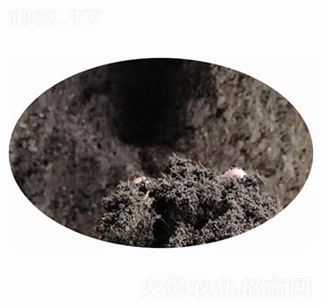 �G��������̿��-�t�ķ�