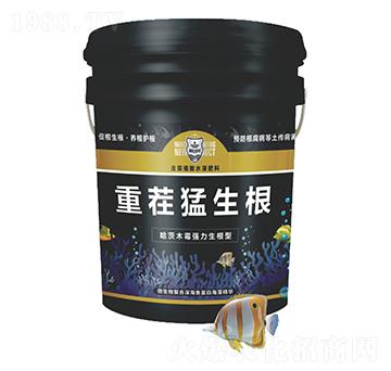 �ز�������-������r