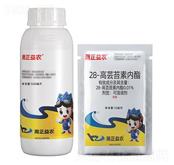 28-���|̦�؃�������