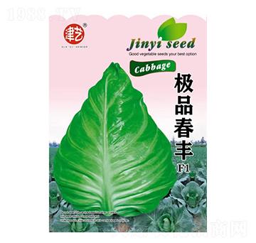 ���{�N��-���S-���S�r�I(y��)