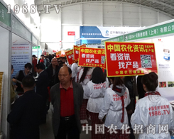 �r(n��ng)�����̾W(w��ng)���ӵ�ʮ�����(y��ng)���ϕ�(hu��)