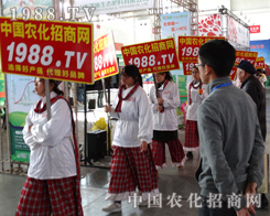 1988.TVС����M܊2014��ꖷ����p����