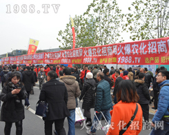 2016���Kֲ�������r(n��ng)�����̾W(w��ng)�������Գֵ���