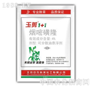 ���r(n��ng)����-���1+1