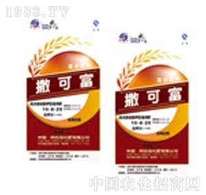 ���ɸ�-������͸�⛏ͺϷ�